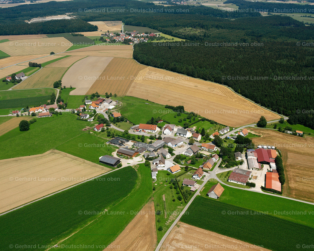 2536697 | Kappel, Wald