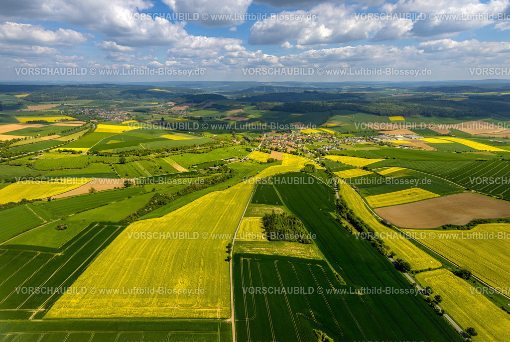 Brakel240504842Erkeln | Luftbild, grüne Wiesen und gelbe Rapsfelder an der Rheder Straße, Blick zum Wohngebiet Ortsansicht Ortsteil Erkeln, Fernsicht und blauer Himmel mit Wolken, Erkeln, Brakel, Ostwestfalen, Nordrhein-Westfalen, Deutschland