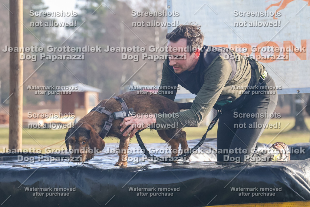 Dog Paparazzi - Strongdog North Mrz26-12 | Dog Paparazzi Jeanette Grottendiek Fotografie & Videografie - Realisiert mit Pictrs.com