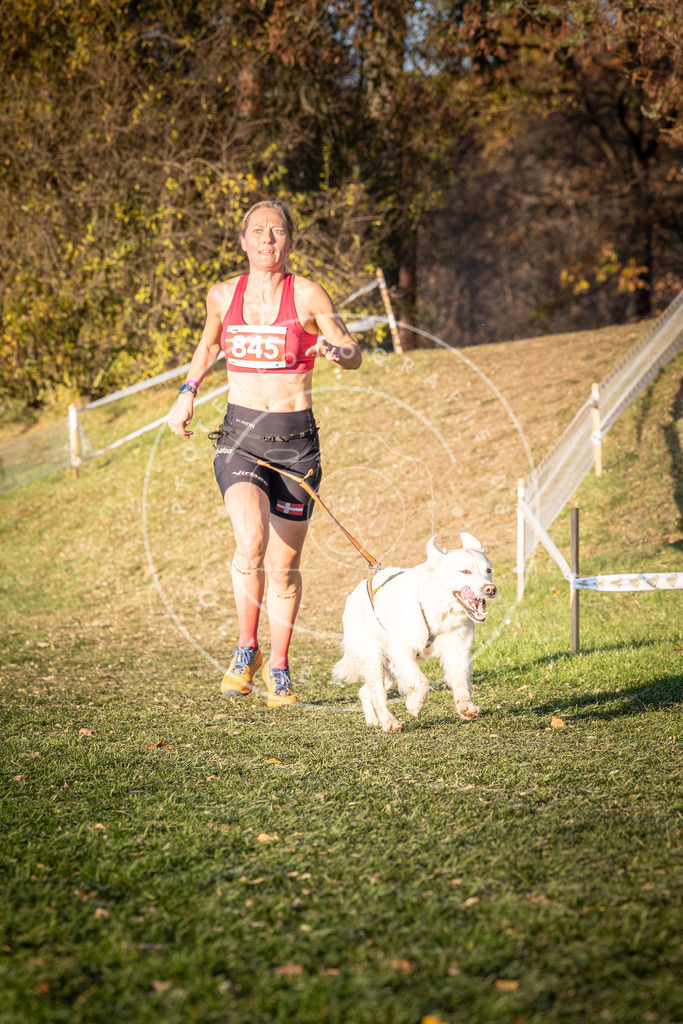 CaniXpix_0L8A0767 | Hundefotografie, Tierfotograf, Pfotenfotografie, Fotoshooting Hund, Hunde Portrait, Hundesport, Hundeportraits, Heideshooting, Hunde, Sportfotograf, Hundefotograf, Turnierhundsport, THS,  - Realisiert mit Pictrs.com