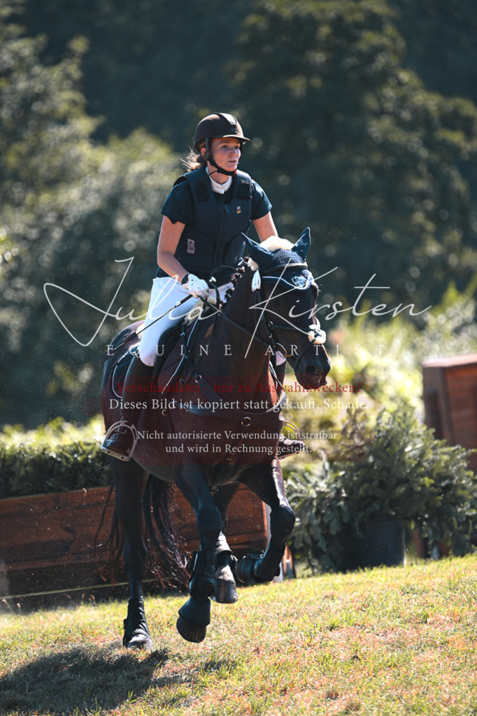 DSC_8048 | Pferde- und Turnierfotografie in Westsachsen. Pferdeportraits, Auftragszeichnungen und intuitive Kunst.