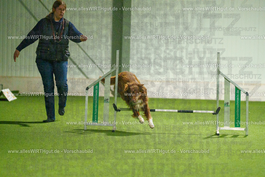 7R508950 | Professionelle Tierfotografie in Mönchengladbach von Daniel Wirth (allesWIRTHgut). Liebevolle & natürliche Bilder von Hunden & Katzen für unvergessliche Erinnerungen.