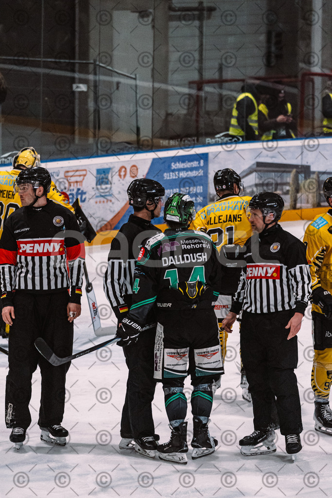 Alligators_vs_Bayreuth_16_01_2026-43 | Höchstadt Alligators Fotogalerie: Eishockey-Action aus Franken. Professionelle Spielfotos, Portraits & Stadionbilder zum Download. Jetzt entdecken! - Realisiert mit Pictrs.com
