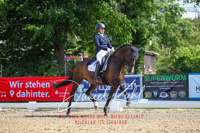 DKP41350 | Turnierfotos kaufen im Webshop von Daniel Kuhl Photography – entdecke professionelle Reitsportfotos aus Turnieren & Events. Hochwertige Turnierbilder online bestellen & sichern. Jetzt Fotos von Reitsportturnieren kaufen!