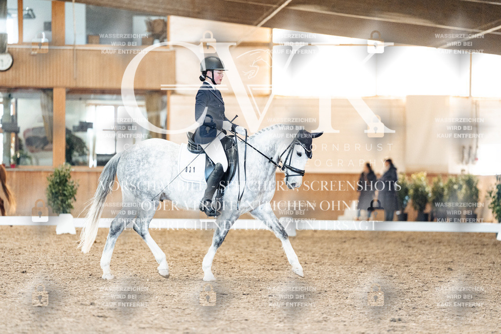 CK907755 | Turnierfotografie Pferdefotografie Trier Rheinland-Pfalz Pferdesport Reitsport Tierfotografie Sportfotografie Pferdevideo Pferdevideografie Equestrianvideography equestrianphotography  - Realisiert mit Pictrs.com