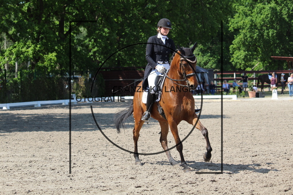 IMG_4906 | franziskalange - Realisiert mit Pictrs.com