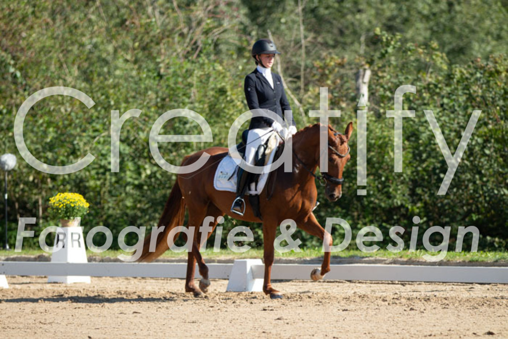 IMG_7572 | Creatify Fotografie