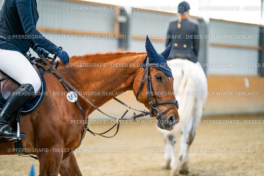 DSC00806 | Pferdegrafie