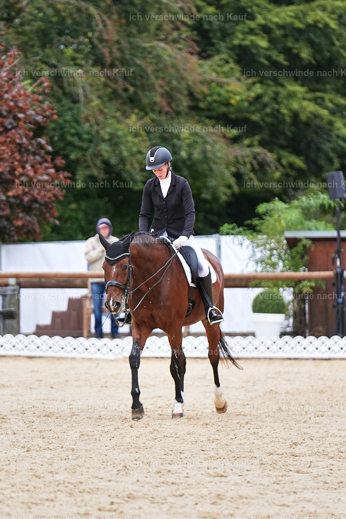 04_1-084-Dressur M__ -Marixx-2751 | working equitationturnier fotograf videograf stoibphotography marixx film working equitation deutschland reitsport turnierfotografie eventfotografie equestrian events