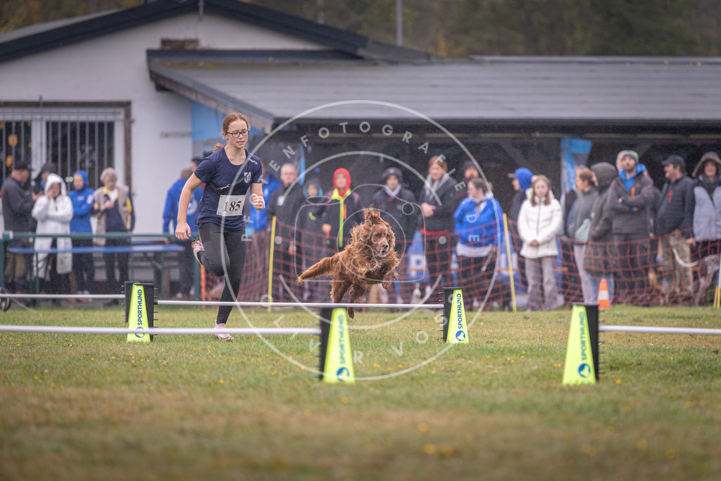 Pfotenfotografie_DV3A9735 | Hundefotografie, Tierfotograf, Pfotenfotografie, Fotoshooting Hund, Hunde Portrait, Hundesport, Hundeportraits, Heideshooting, Hunde, Sportfotograf, Hundefotograf, Turnierhundsport, THS,  - Realisiert mit Pictrs.com