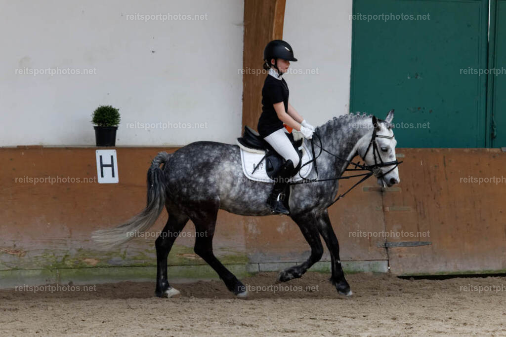 JHE34114 | JoYa Fotografie - Realisiert mit Pictrs.com