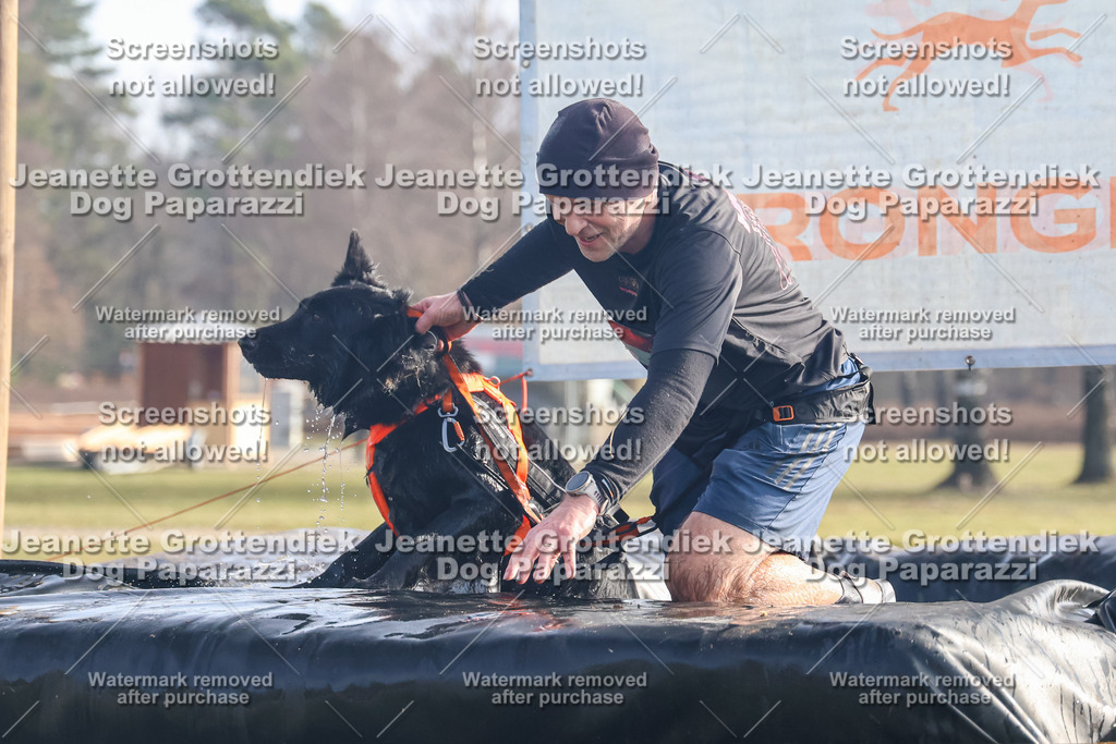 Dog Paparazzi - Strongdog North Mrz26-345 | Dog Paparazzi Jeanette Grottendiek Fotografie & Videografie - Realisiert mit Pictrs.com