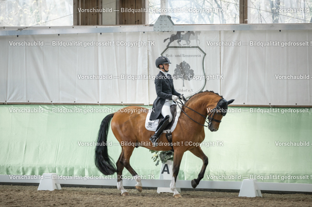 _D5A5928 | Emotionale Pferde- & People-Fotografie rund um Heidelberg, Leimen & Umgebung. Natürliche Fotos von Pferd, Mensch & Familie. Jetzt Termin sichern!