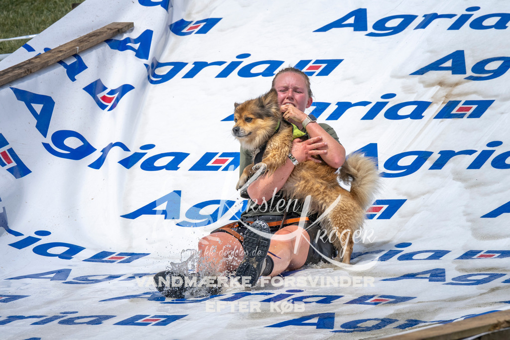 1126_ZZ92092 | kk-dogfotos