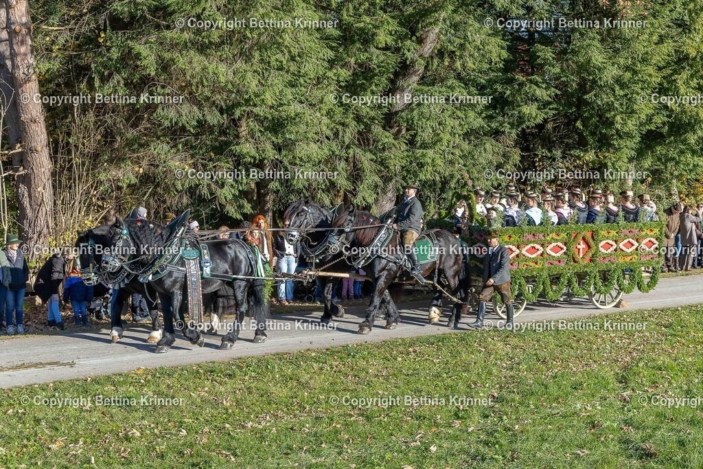 LBT25-307 | foto-bettina-krinner - Realisiert mit Pictrs.com