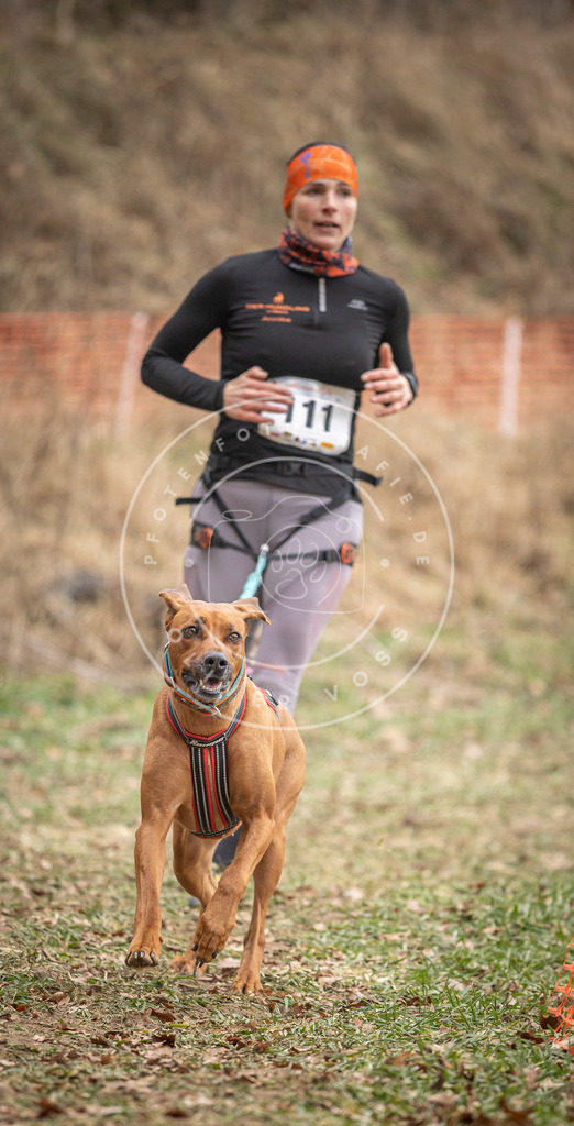 Pfotenfotografie_DV3A7527 | Hundefotografie, Tierfotograf, Pfotenfotografie, Fotoshooting Hund, Hunde Portrait, Hundesport, Hundeportraits, Heideshooting, Hunde, Sportfotograf, Hundefotograf, Turnierhundsport, THS,  - Realisiert mit Pictrs.com