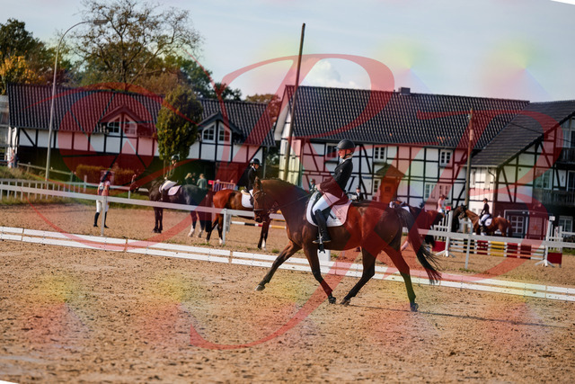 2026_10_03_Siefer-Hof_131021_Z63_72629518 | Professionelle Reitsport-, Turnier- und Eventfotografie von Robert Broda. Galerien mit ausgewählten und bearbeiteten Bildern direkt online ansehen und bestellen.