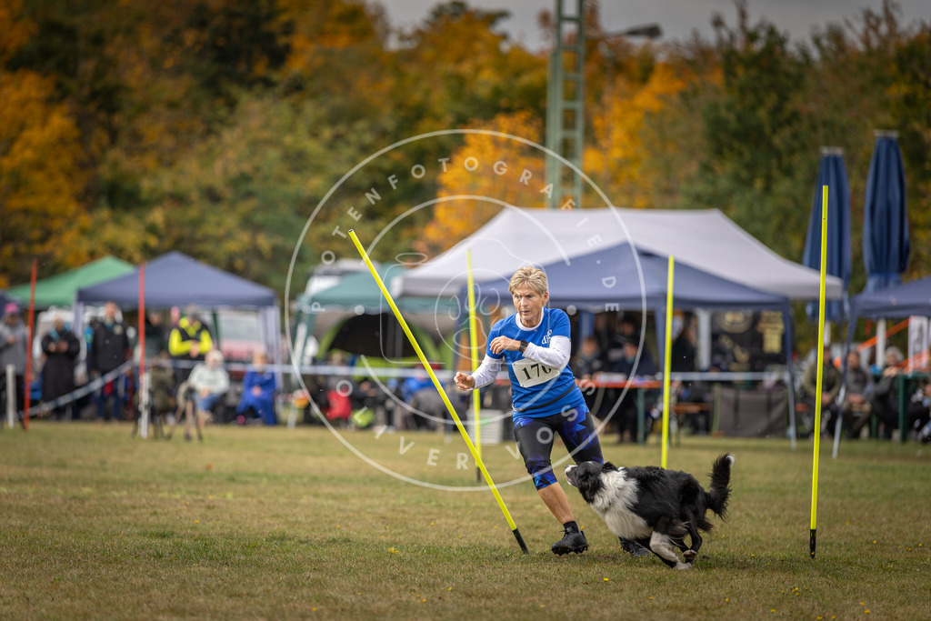 Pfotenfotografie_DV3A5869 | Hundefotografie, Tierfotograf, Pfotenfotografie, Fotoshooting Hund, Hunde Portrait, Hundesport, Hundeportraits, Heideshooting, Hunde, Sportfotograf, Hundefotograf, Turnierhundsport, THS,  - Realisiert mit Pictrs.com