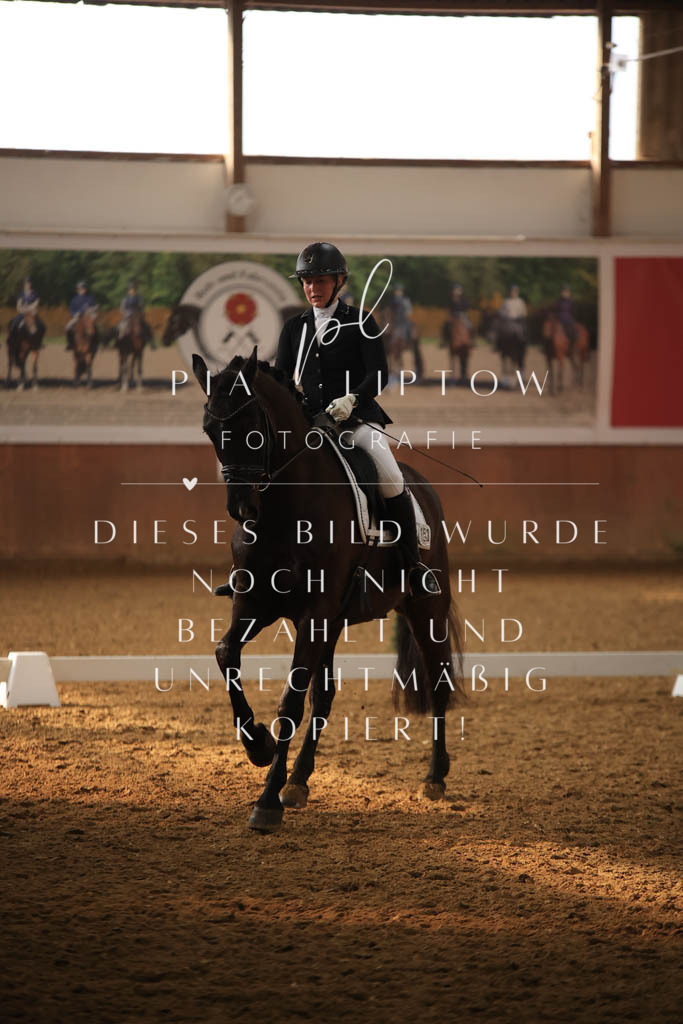 IMGT7302 | pl-fotografie