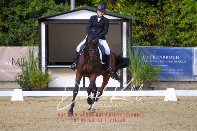 DKP41079 | Turniersportfotografie; Pferdefotografie; Dressurfotografie