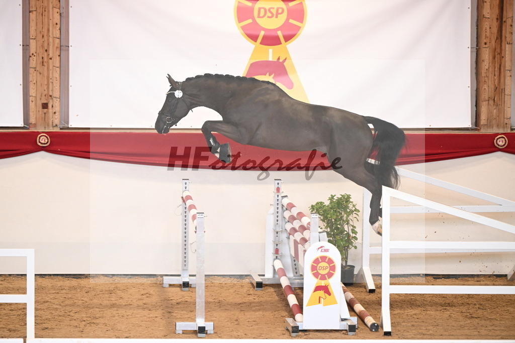 Kat.-Nr. 23 v. Diamant De Semilly_Jünger_2251121 | hf-fotografie - Realizzato con Pictrs.com