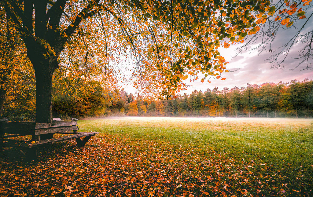 Herbstlicher Sonnenaufgang mit leichtem Bodennebel,Schloss Solitude, Stuttgart | Das Bild zeigt eine herbstliche Morgenstimmung im Rotwildpark bei Schloss Solitude in der Nähe von Stuttgart mit aufgehender Sonne und leichtem Nebel über einer Wiese. Holzbänke im Vordergrund. - Realisiert mit Pictrs.com