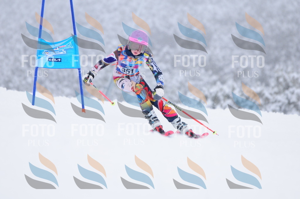 C3744 | holidayphoto