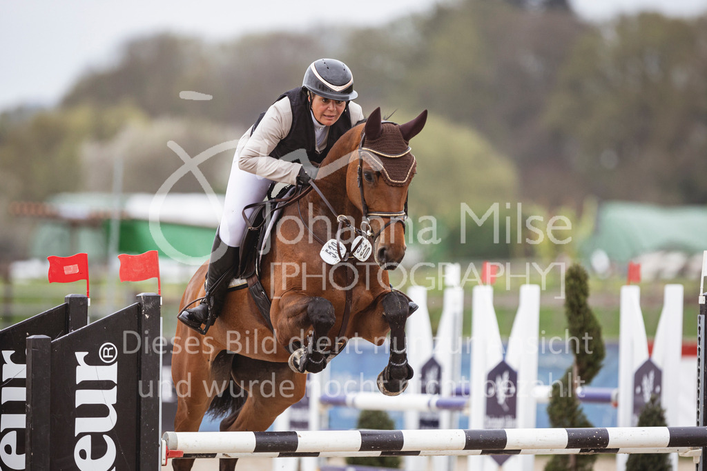 250417_Springpferde-L1-278 | Deine schönsten Turniermomente als professionelle Fotos! Entdecke hochwertige Pferdesport-Fotografie im Online-Shop. Jetzt Fotos finden & bestellen!