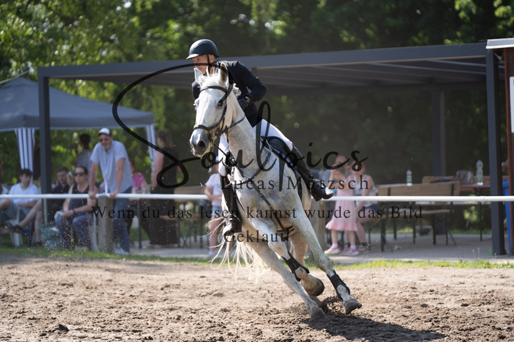 A7V03551 | Pferdefotograf