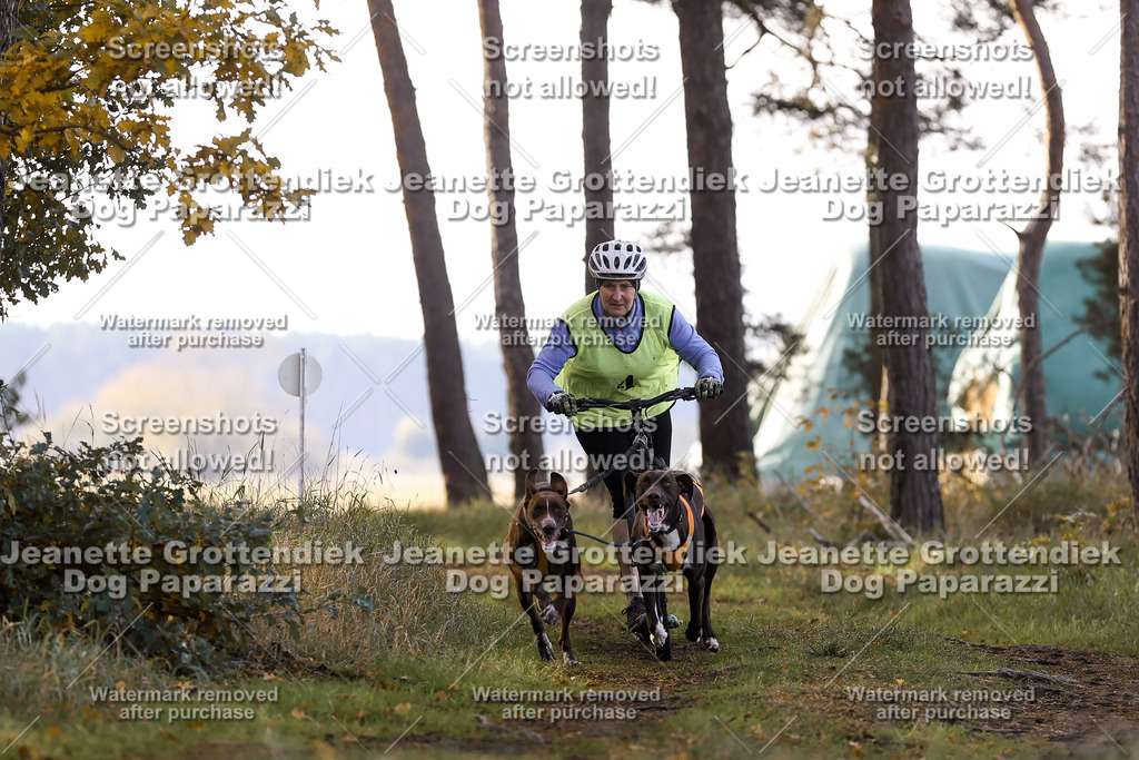 Dog Paparazzi - Elsholz 25 -45 | Dog Paparazzi Jeanette Grottendiek Fotografie & Videografie - Realisiert mit Pictrs.com