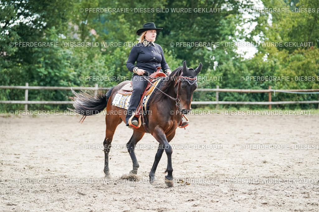 DSC04593 | Pferdegrafie