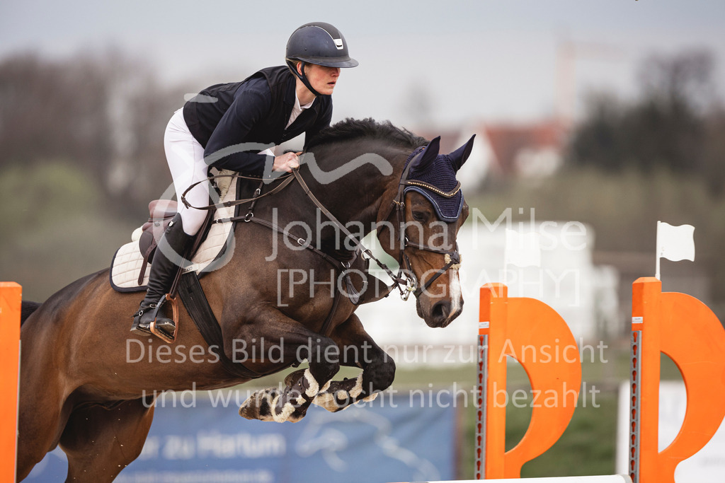 240327_Fruehlingsfest_Stil-L-2-362 | Deine schönsten Turniermomente als professionelle Fotos! Entdecke hochwertige Pferdesport-Fotografie im Online-Shop. Jetzt Fotos finden & bestellen!