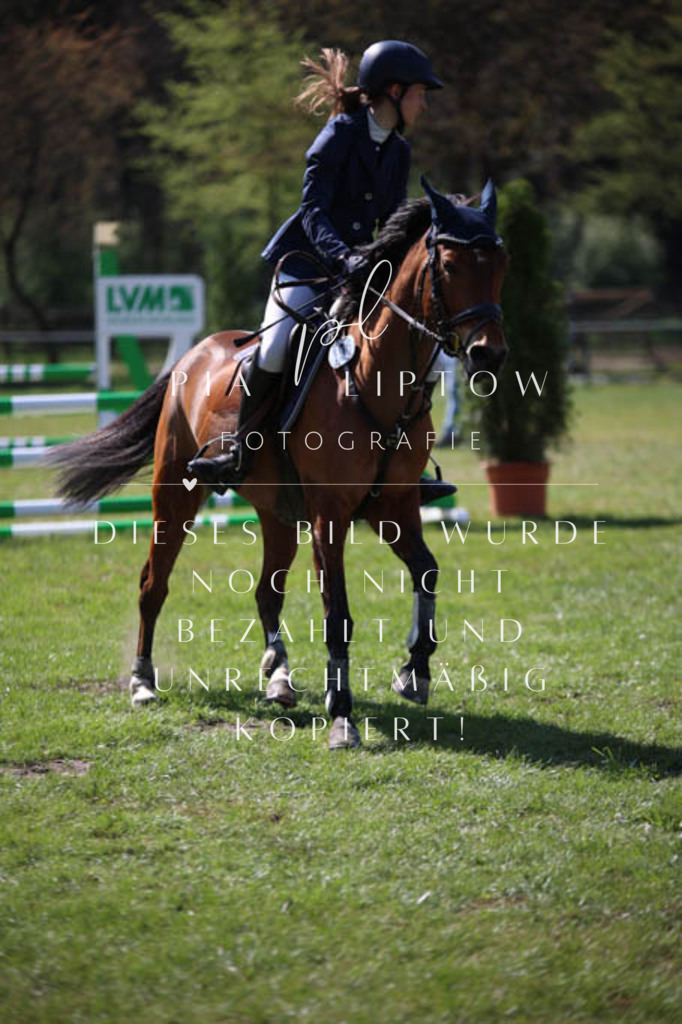 IMGT5646 | pl-fotografie