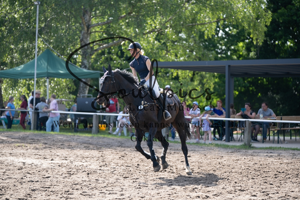 A7V03633 | Pferdefotograf