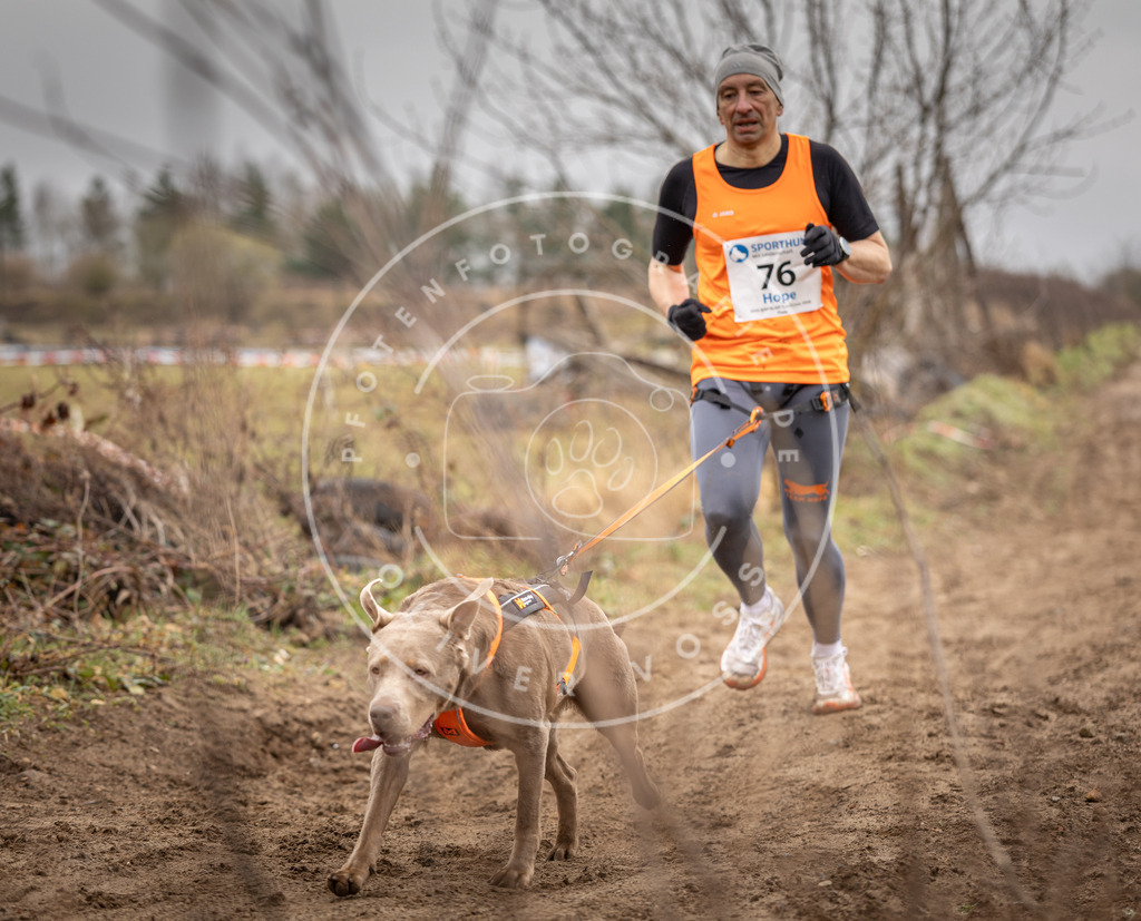 DV3A9773 | Hundefotografie, Tierfotograf, Pfotenfotografie, Fotoshooting Hund, Hunde Portrait, Hundesport, Hundeportraits, Heideshooting, Hunde, Sportfotograf, Hundefotograf, Turnierhundsport, THS,  - Realisiert mit Pictrs.com