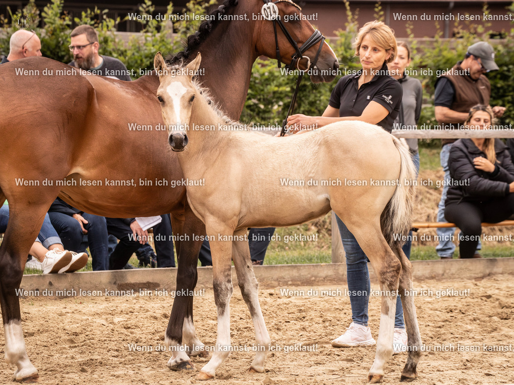 A10I3245-Verbessert-RR 15.56.14 | photographylinaismer - Realisiert mit Pictrs.com