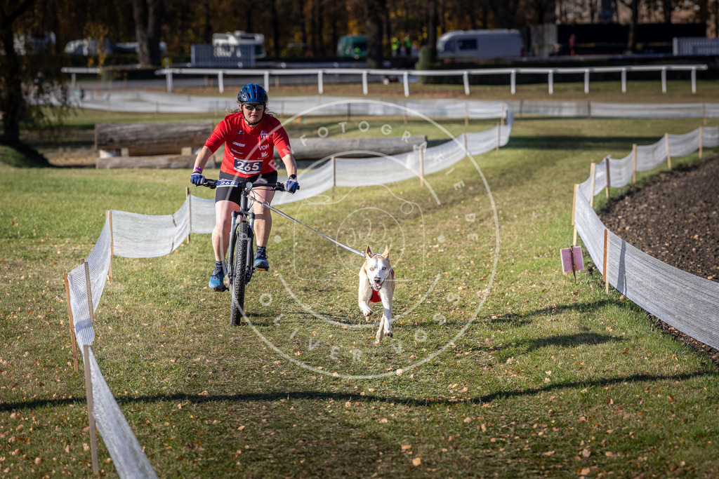CaniXpix_DV3A5005 | Hundefotografie, Tierfotograf, Pfotenfotografie, Fotoshooting Hund, Hunde Portrait, Hundesport, Hundeportraits, Heideshooting, Hunde, Sportfotograf, Hundefotograf, Turnierhundsport, THS,  - Realisiert mit Pictrs.com