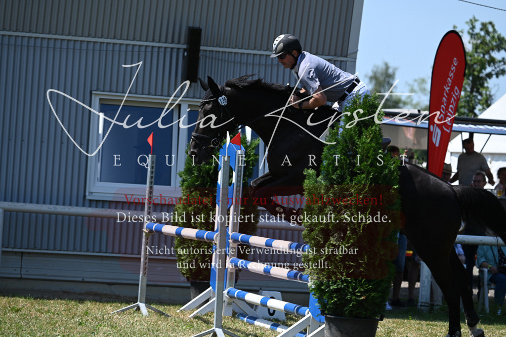DSC_0760 | Pferde- und Turnierfotografie in Westsachsen. Pferdeportraits, Auftragszeichnungen und intuitive Kunst.