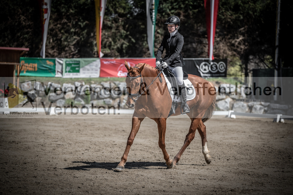 DSC_0091 | equestrian-live-com