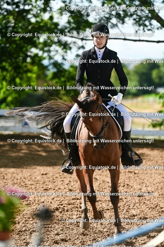 20230716_04_Dressurreiterprüfung Kl.A_0163 | equistock