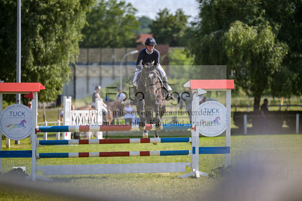 Reitturnier Voxtrup | Entdecke hochwertige Reitturnierfotos von Foto Oger. Professionell, emotional und authentisch – jetzt Lieblingsmomente im Shop bestellen.Deutschlandweite Turnierfotografie. - Realisiert mit Pictrs.com