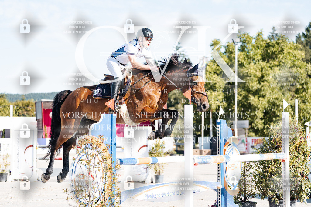 CK904161 | Turnierfotografie Pferdefotografie Trier Rheinland-Pfalz Pferdesport Reitsport Tierfotografie Sportfotografie Pferdevideo Pferdevideografie Equestrianvideography equestrianphotography  - Realisiert mit Pictrs.com
