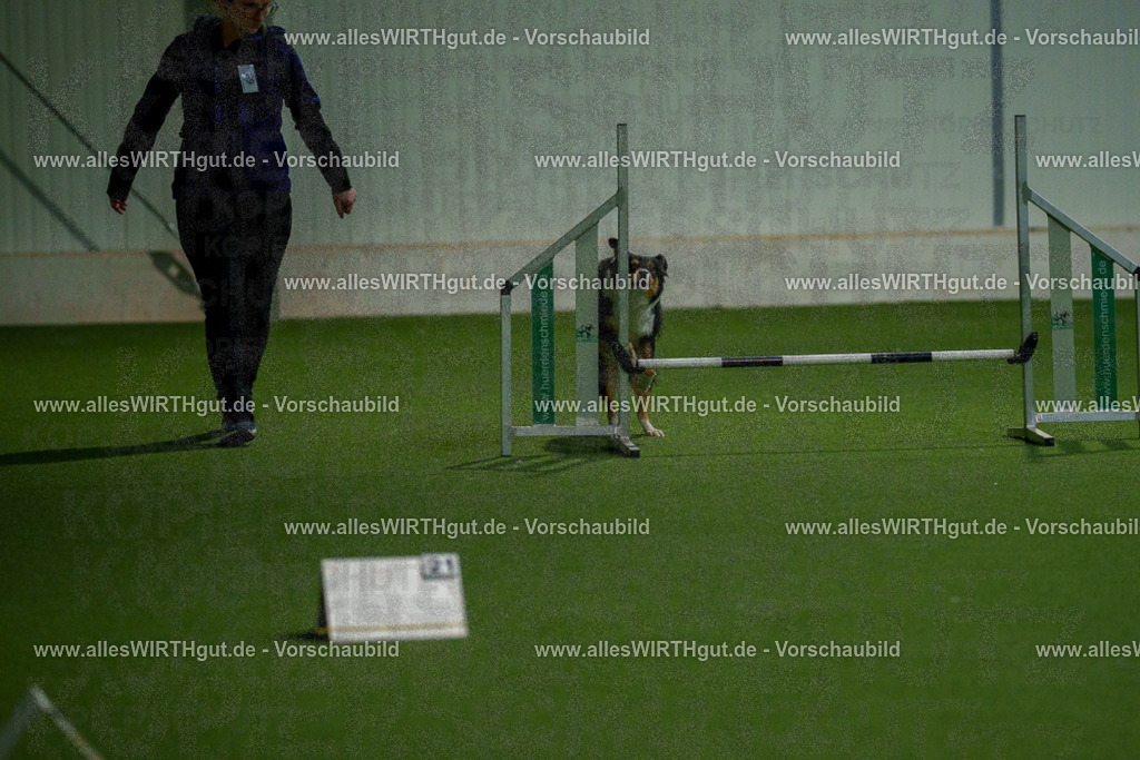 7R508192 | Professionelle Tierfotografie in Mönchengladbach von Daniel Wirth (allesWIRTHgut). Liebevolle & natürliche Bilder von Hunden & Katzen für unvergessliche Erinnerungen.