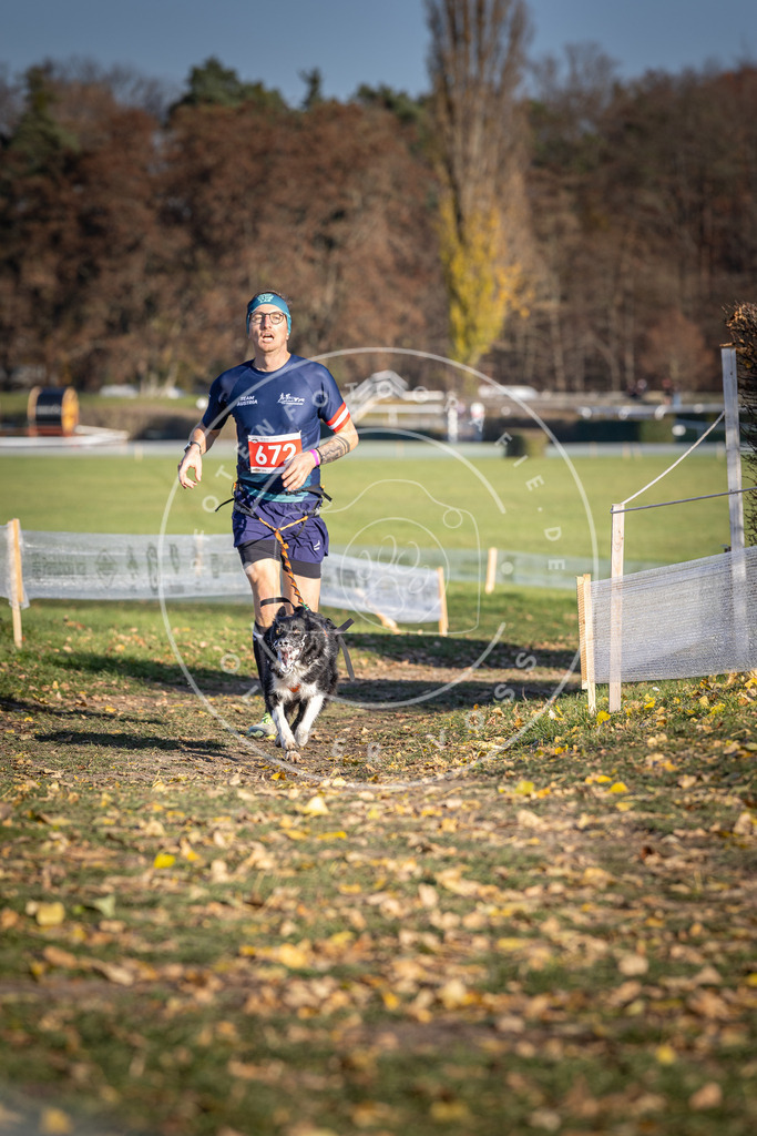 CaniXpix_DV3A0869 | Hundefotografie, Tierfotograf, Pfotenfotografie, Fotoshooting Hund, Hunde Portrait, Hundesport, Hundeportraits, Heideshooting, Hunde, Sportfotograf, Hundefotograf, Turnierhundsport, THS,  - Realisiert mit Pictrs.com