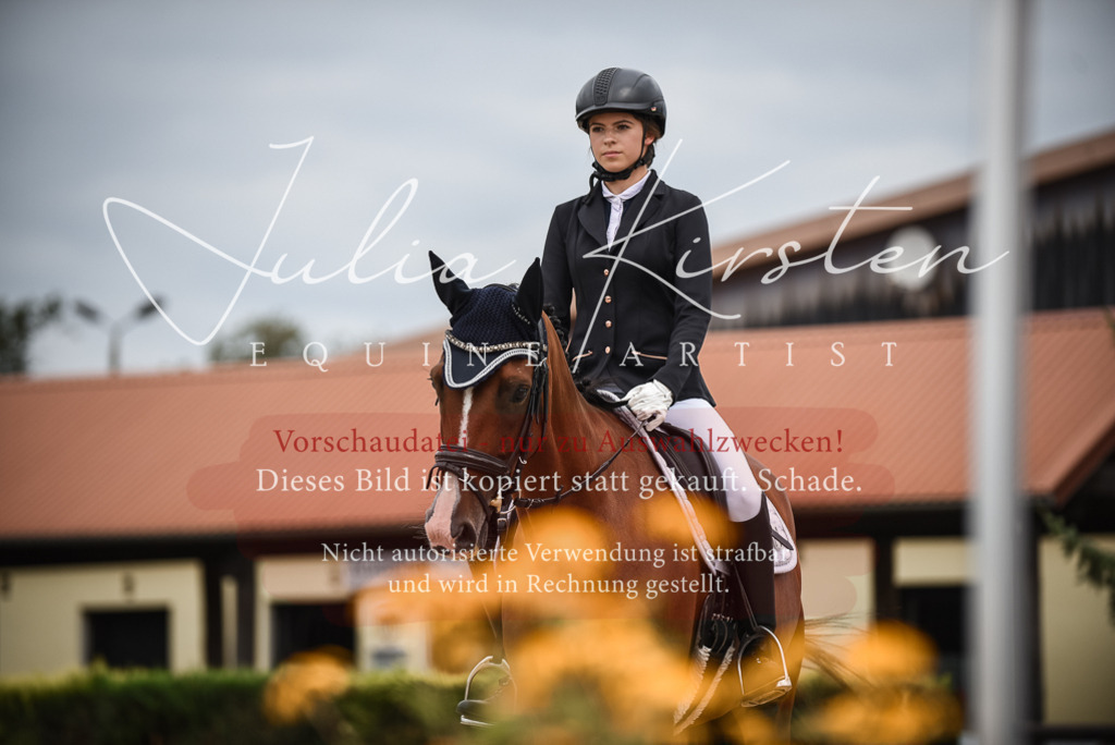 DSC_8393 | Pferde- und Turnierfotografie in Westsachsen. Pferdeportraits, Auftragszeichnungen und intuitive Kunst.