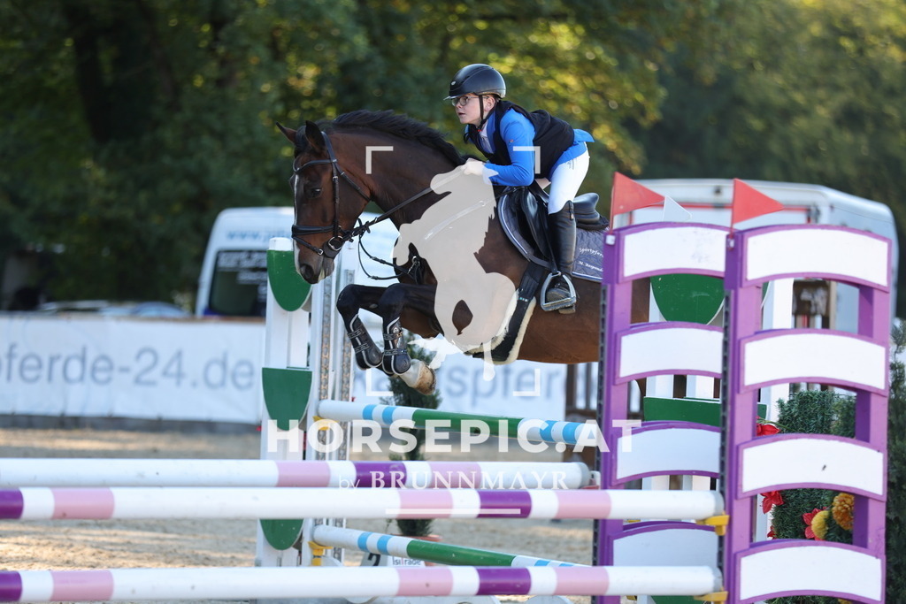 0P6A0676 | Willkommen bei Brunnmayr - Design & Fotografie – Ihrem Spezialisten für Reitturniere und Pferdeveranstaltungen in Oberösterreich, Salzburg und Bayern! Seit über 17 Jahren sind wir leidenschaftlich dabei.