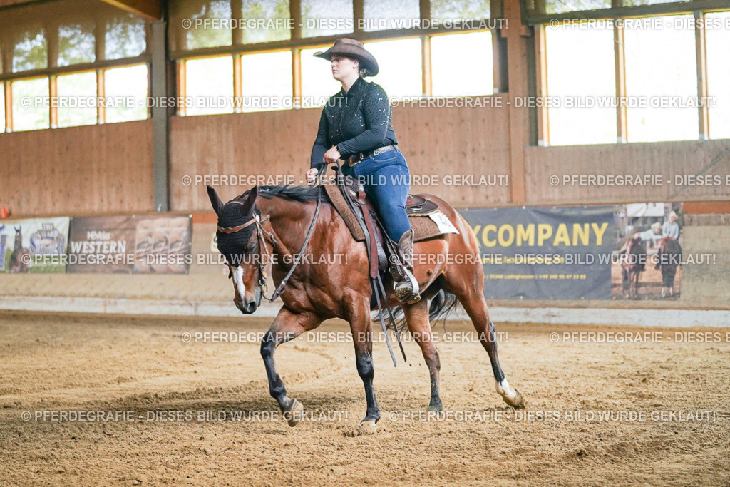 DSC05409 | Pferdegrafie