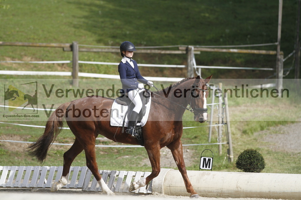 _MG_0236 | equestrian-live-com