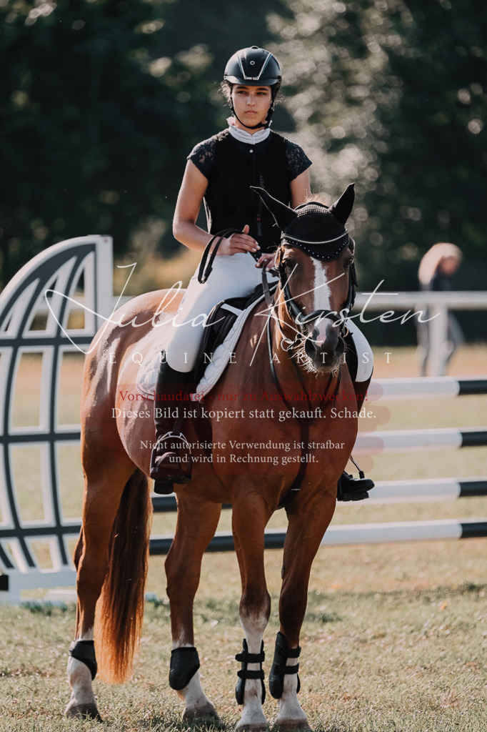DSC_4888 | Pferde- und Turnierfotografie in Westsachsen. Pferdeportraits, Auftragszeichnungen und intuitive Kunst.