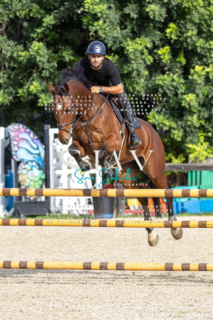 IMG_4251 | s-jay-photography - Realisiert mit Pictrs.com